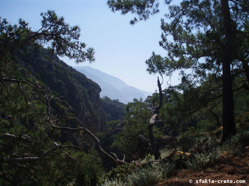 Photo report of a stay in and around Sfakia and Crete, May 2008